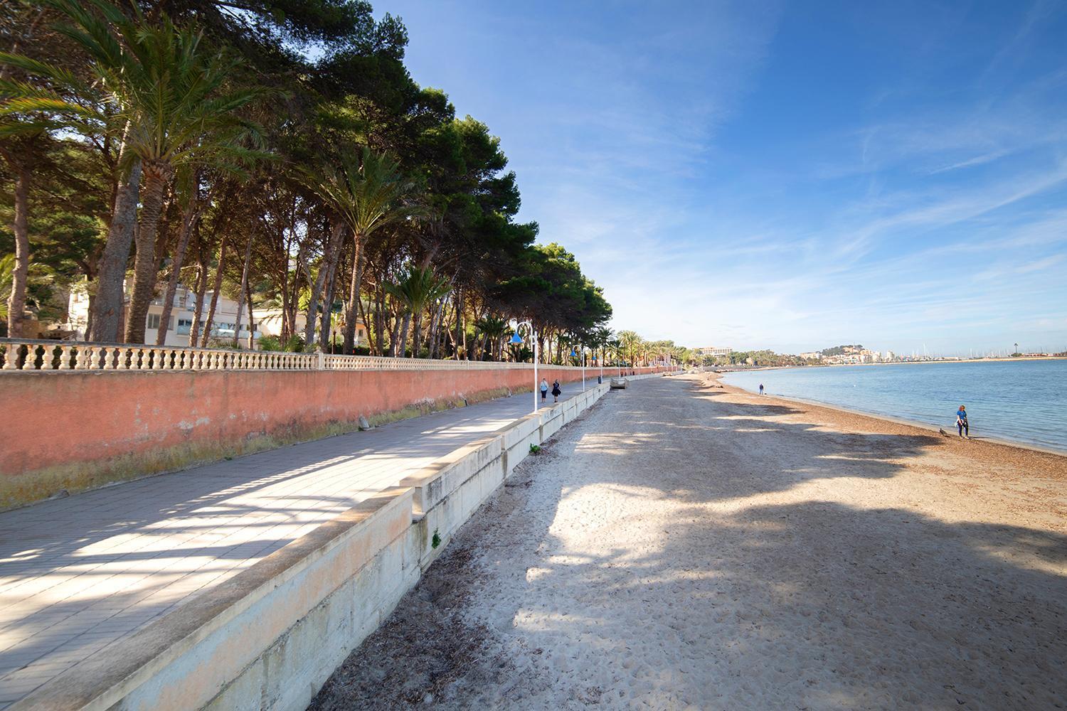 Rotes Denia